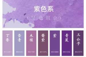 紫色用什么颜色对冲（紫色用什么颜色对冲呢）