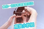 牙剪怎么拿（牙剪怎么拿图片）