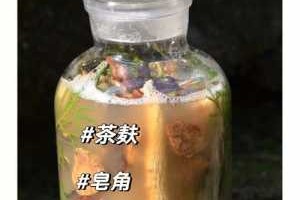 洗发水怎么制作方法（怎么自制DIY洗发水）