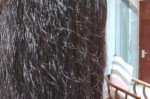 沙发发质是什么意思（沙发发质是什么意思?）