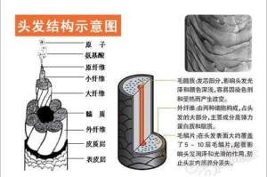 头发是什么（头发是什么物质组成的）