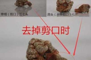 三七怎么剪（三七怎么剪枝）