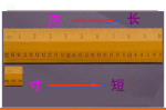 刻寸是什么（什么是刻尺）