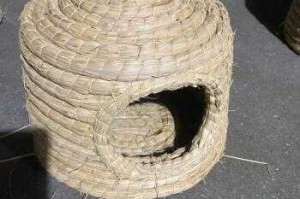 鸡窝怎么编（用草编鸡窝怎么编）