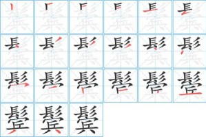 鬓角的鬓怎么写（鬓字怎么写好看）