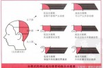 初学剪发角度怎么找（剪发不同角度去角的效果）