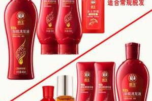 霸王洗发水专业护理套装里的育发膏和育发液的使用方法是怎样的,霸王洗发水怎么用比较好