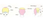 头发分区五个区怎么分（头发分区五个区怎么分因片）