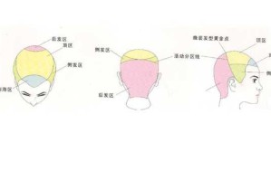 头发分区五个区怎么分（头发分区五个区怎么分因片）