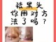 如何去除脸上的黑头和毛孔,怎么能去黑头缩小毛孔呢