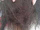 头发老是打结怎么办（冬天头发老是打结怎么办）