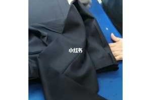 怎么烫西服（怎么烫西服视频教程）