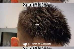 刺猬头发型怎么弄（刺猬头发型怎么弄,不用发泥可以吗）