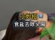 怎么用盐洗头（怎么用盐洗头不脱发）