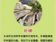 吃什么多头发（吃什么长头发多）