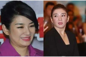 什么脸是胖脸（为什么豪门女主角都是胖脸）