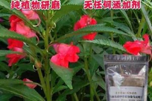 什么花可以染头发（有什么植物可以染头发）