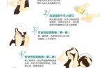 护发乳怎么用（护发乳怎么用才正确）