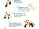 护发乳怎么用（护发乳怎么用才正确）