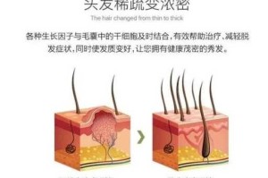 怎么护发（怎么样护发和生发）