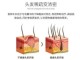 怎么护发（怎么样护发和生发）