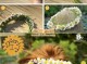 花环怎么编（花环扎法）