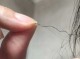 为什么我的头发长得又快又硬,有几根头发又粗又硬怎么回事