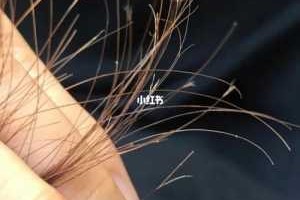 头发分叉的护理方法,头发开叉怎么护理好
