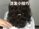 热烫卷发怎么打理（热烫的秘诀）