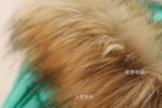假毛怎么放（怎么鉴别真假动物毛）