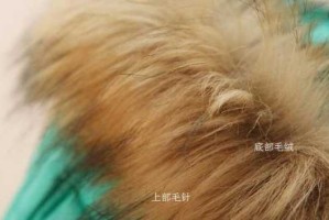 假毛怎么放（怎么鉴别真假动物毛）
