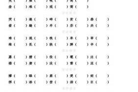 眼睛的眼的组词,眼护叫什么名字