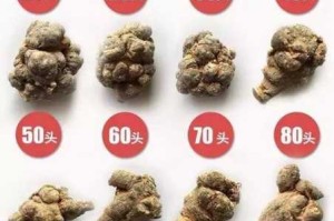 三七怎么分（三七怎么分有几个头）