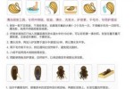 用什么洗假发（假发如何清洗）