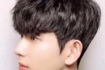 男生发质软适合什么发型