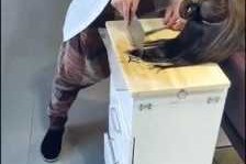 美发师改行做什么好（我是做美发的发型师。我不想做了，想改行，能做什么啊）