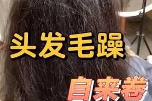 头发很毛躁很蓬怎么办（头发很毛躁很蓬怎么办全是自来卷）