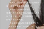 头发为什么会越来越细（头发为什么会越来越细软）