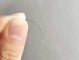 怎么收集掉下来的头发（怎么收集掉下来的头发图片）