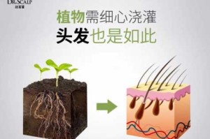 怎么呵护头发（怎么呵护头发毛囊）