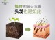 怎么呵护头发（怎么呵护头发毛囊）