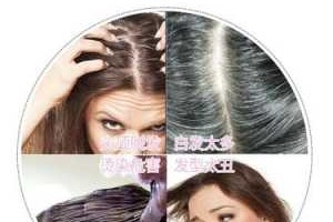 怎么样补头发（补头发多少钱）