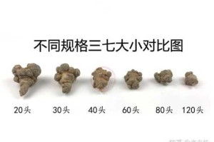 三七怎么看头（三七怎么看头）