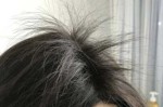 为什么新长出来的头发是卷的（为什么新长出来的头发是卷的呢）