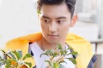 圆脸适合什么脸型（圆脸适合什么脸型男）
