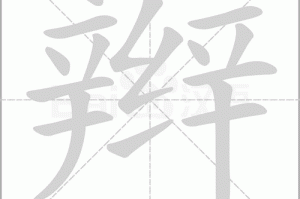 什么小辫（形容小辫的词语）