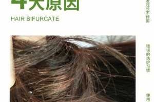 头发分叉是什么原因（头发分叉是什么原因造成的）