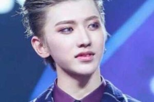 狼奔发型怎么弄（狼奔的意思是什么）