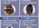 如何判断自己的发质,怎么判断发质软硬