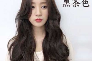 头发怎么染黑（头发怎么染黑）